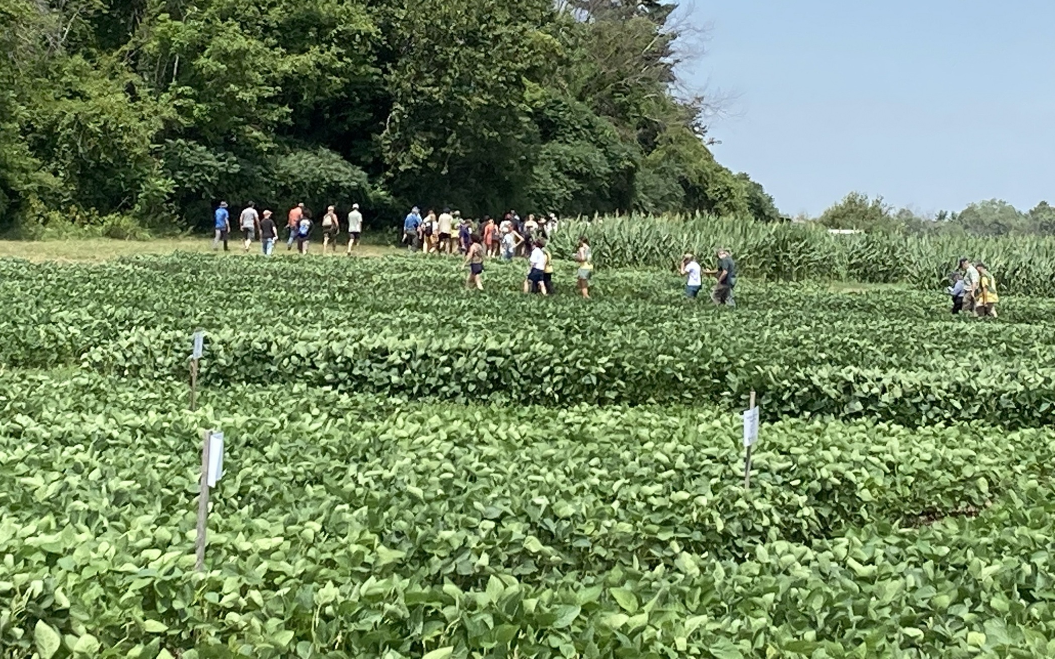 Agriscience and conservation validation project